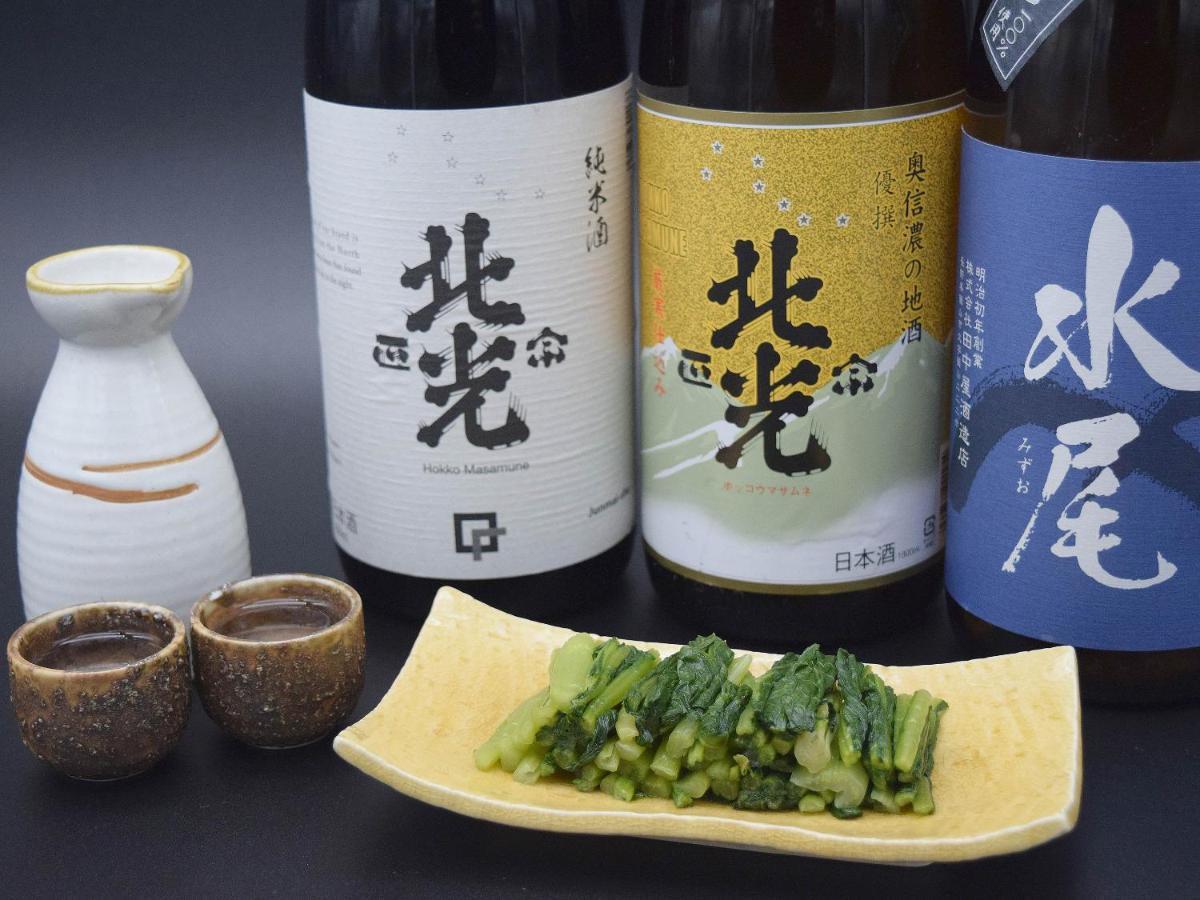 Togari Onsen Alpen Plaza Hotel Iiyama Ngoại thất bức ảnh