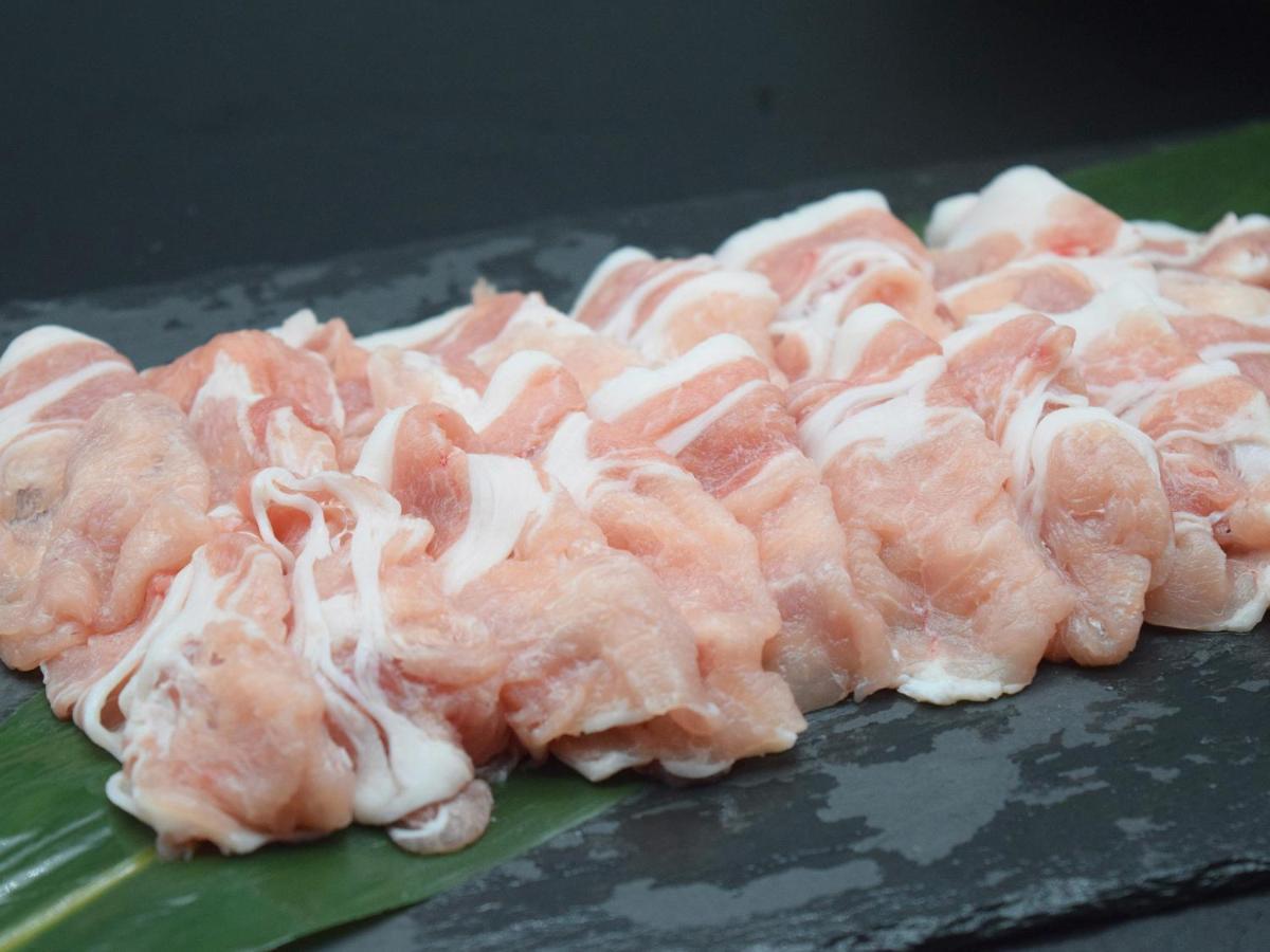 Togari Onsen Alpen Plaza Hotel Iiyama Ngoại thất bức ảnh